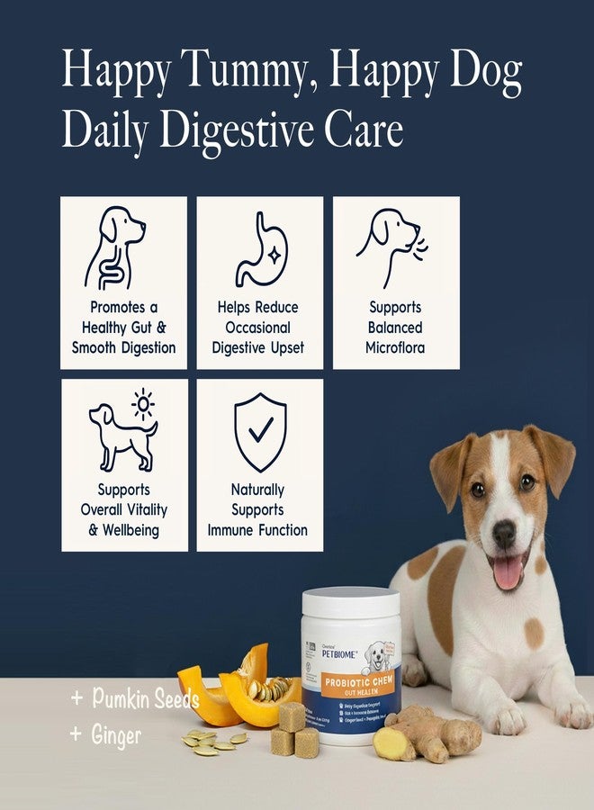 Oraticx PetBiome Probiotic Chew for Dogs - Supports Daily Digestive Health, Gut Balance, and Immune System - with Ginger Root, and Pumpkin Seed - Chicken Flavor, 90 Soft Chews - Image 2
